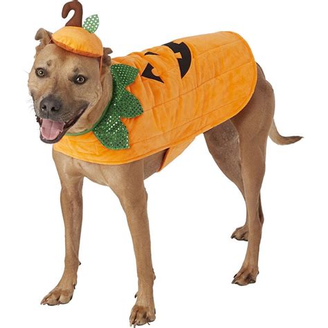 best large dog halloween costumes|xxl large dog halloween costumes.